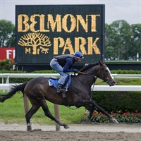 Belmont Stakes 2017