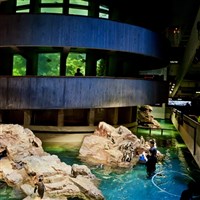 New England Aquarium