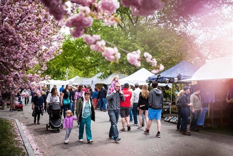 Rochester Lilac Festival