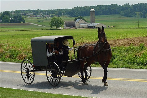 Amish Country Farmlands & Joshua