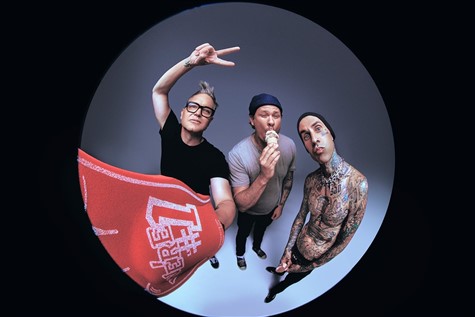 Blink 182 at Madison Square Garden (Mobile Entry)