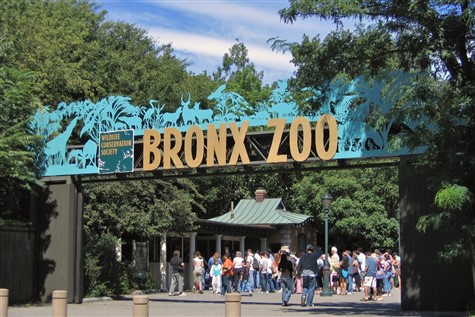Bronx Zoo - Big Brothers/Big Sisters 