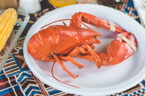 The Nordic 2022: All You Can Eat Lobster in RI