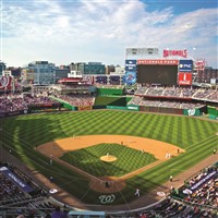 NY Yankees vs. Washington Nationals in DC!